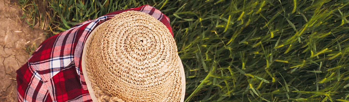 Cp-banner